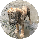 David Peak profile picture